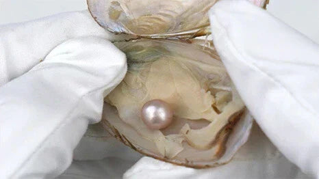 Was beeinflusst den Wert einer Perle und wie bestimmt man ihn?