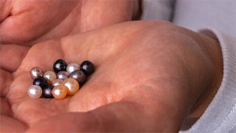 Wie werden gezüchtete Süßwasserperlen hergestellt? Ein Blick hinter die Kulissen