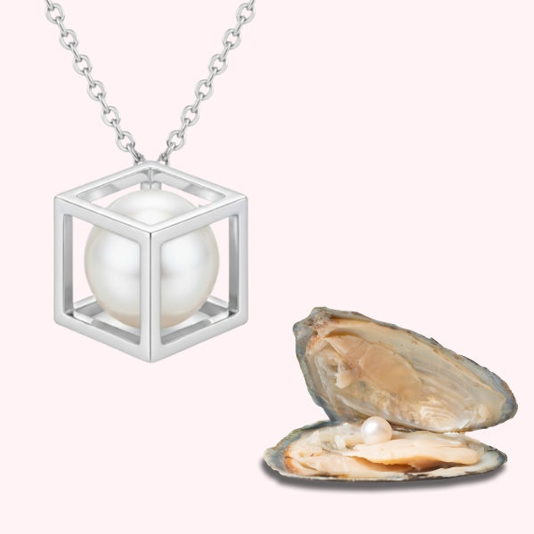 Mr. Pearl Würfel Kette + Auster